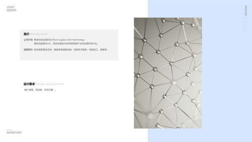 博洛克科技Logo設計 原創圖文構建品牌視覺核心